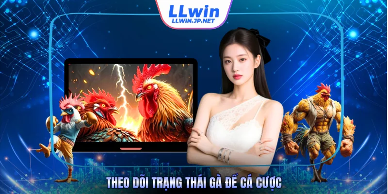 Theo dõi trạng thái gà để cá cược